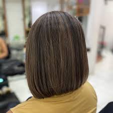Full Hair Highlights
