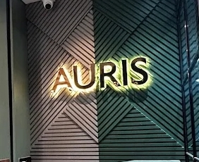 Auris Salon