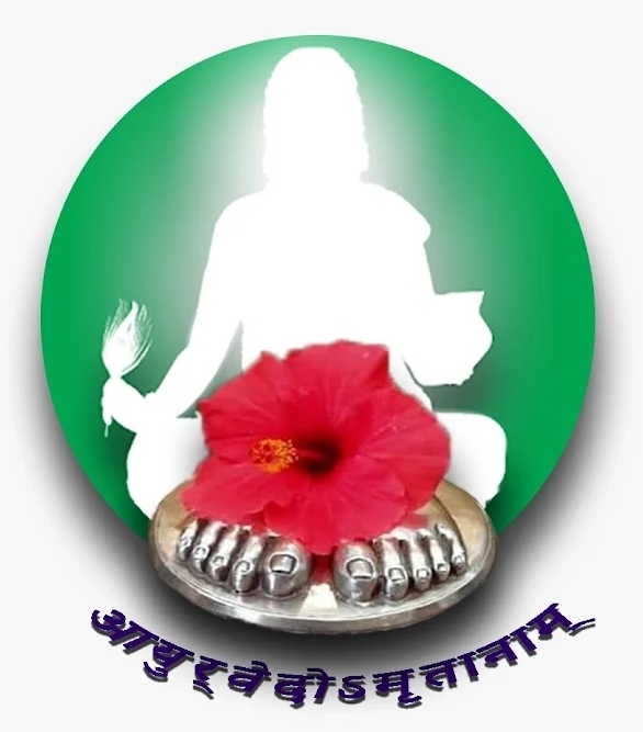 Shree Vishwasrishti Ayurvedic and Panchkarma Clinic